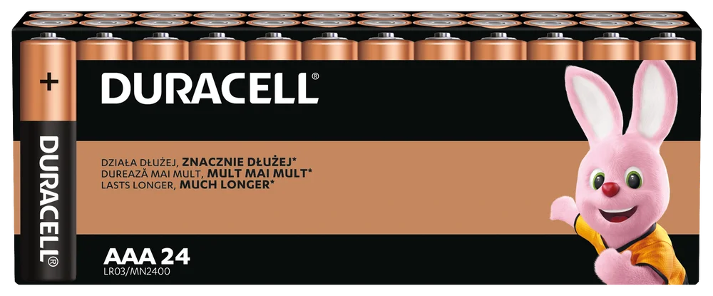 Batterie Duracell Basic LR03 / AAA / MN2400 box'24