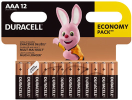 Batterie Duracell Basic LR03 / AAA / MN2400 B12